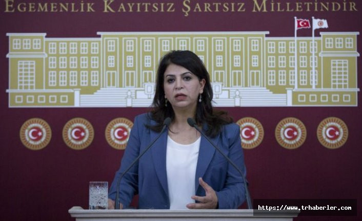 HDP'li Sibel Yiğitalp'e hapis cezası istemi
