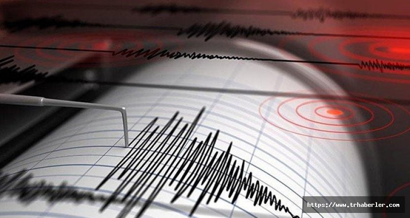 Kuşadası Körfezi'nde 8 saat içerisinde 13 deprem meydana geldi