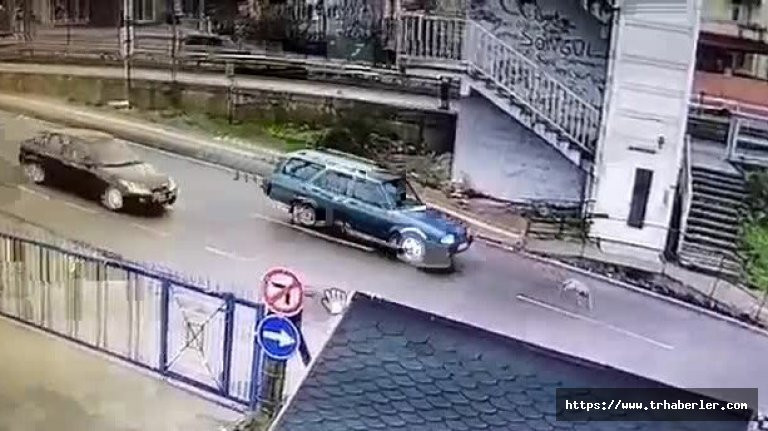Sosyal medyada büyük tepki! Yavru köpeği ezip kaçan araç sürücüsü! video izle