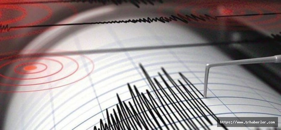 Çanakkale Ayvacık'taki depremin bilançosu
