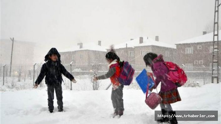 Hakkari ve Yüksekova'da okullara kar tatili