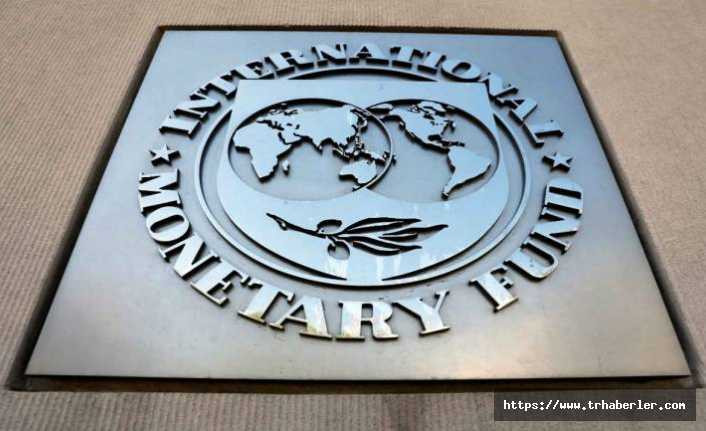Hazine ve Maliye Bakanlığı'ndan IMF açıklaması!