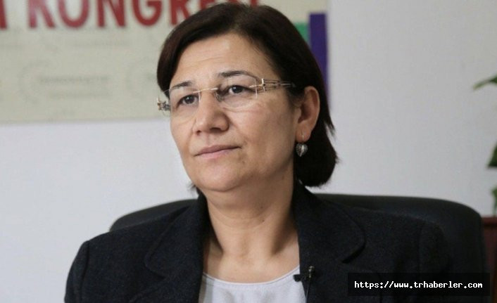 HDP'li Leyla Güven son hali kimdir neden açlık grevi yapıyor?