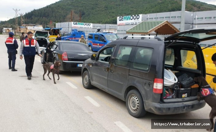 Jandarma'dan dev operasyon: Drone ve köpekle her yeri aradılar!