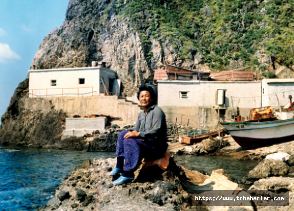 Japonya ve Güney Kore arasında krize neden olan devasa ada yaşlı kadına kaldı!