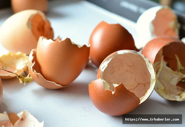 Yumurta kabukları atılmalı mı? Yumurta kabuklarının hiç bilinmeyen faydaları