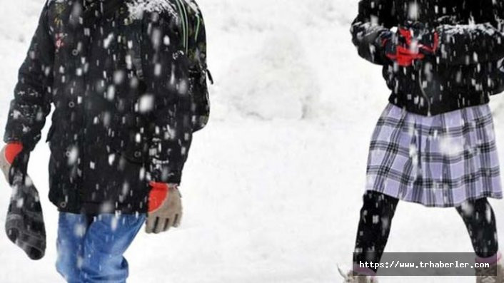 Eğitime kar engeli! Okullar tatil edildi