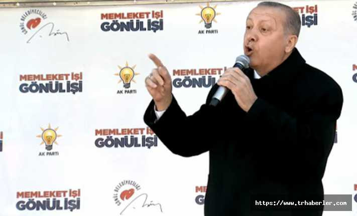 Erdoğan'dan Meral Akşener'e tepki: Bunun adı şaka değil olsa olsa hadsizlik