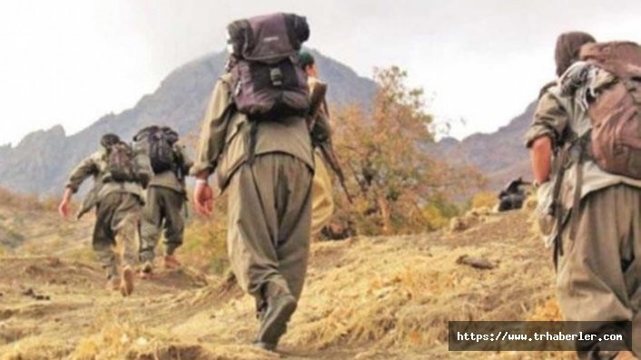 Şanlıurfa'da 3 PKK'lı terörist yakalandı