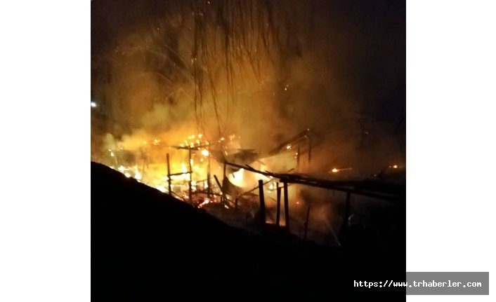 Sinop'ta talihsiz yangın: Bekçi evi kül oldu!