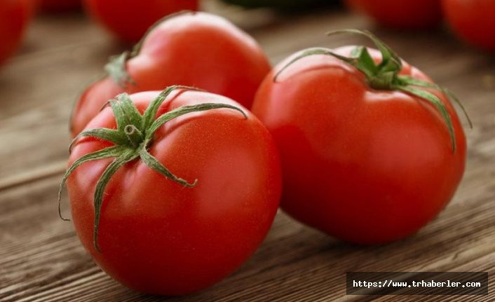Tanzimin yıldızı domatesin ihracatı arttı