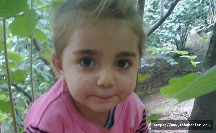 Acı haber! Kaybolan küçük kızın cansız bedeni bulundu!