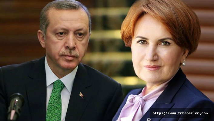 Meral Akşener'den Erdoğan'a destek!