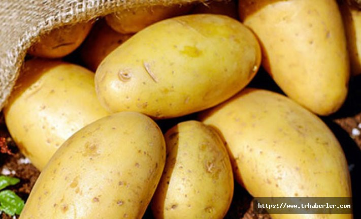 Sıfır gümrüklü patates ithalatı süresi 31 Mayıs'a uzatıldı