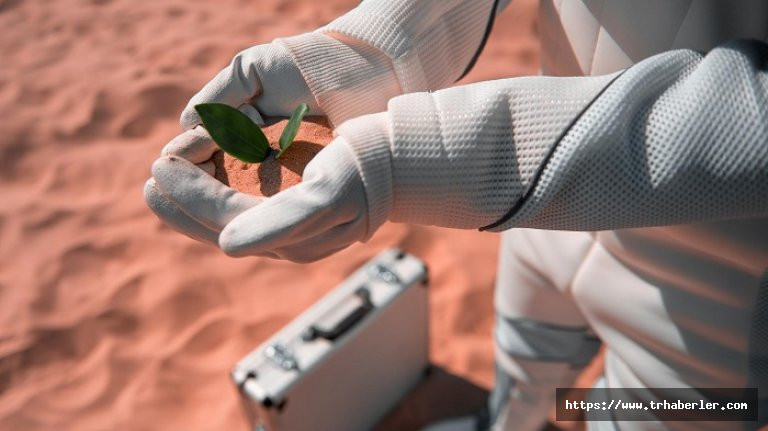 Mars'ta dahi canlı kalabilen dünyanın en dayanıklı bitkileri! İşte detaylar...