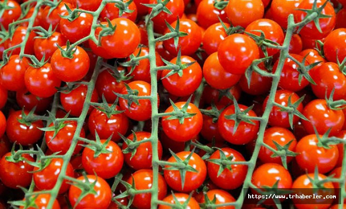 Ukrayna, 38 ton Türk domatesini geri gönderdi