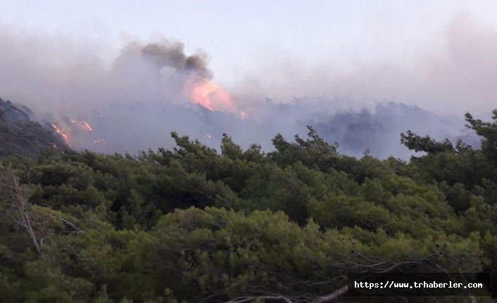 Datça’da 11 saattir devam eden yangında kasıt şüphesi