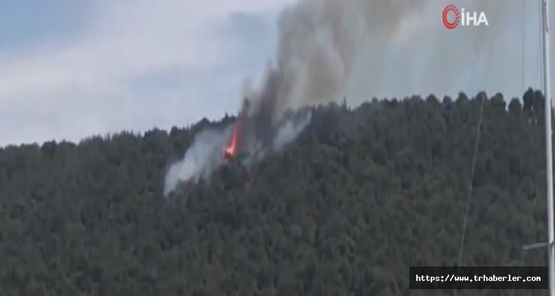 Heybeliada ‘da ormanlık alanda yangın çıktı! video izle