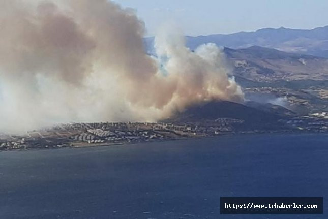 İzmir Dikili'deki orman yangını yazlık siteleri tehdit ediyor!