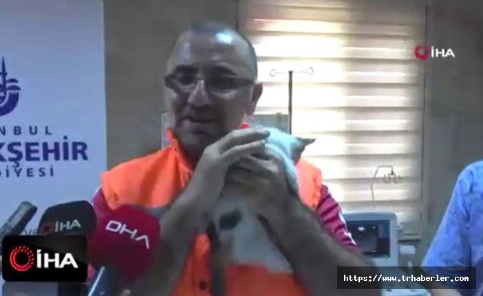 Türkiye'nin konuştuğu kediyi suni teneffüsle hayata döndüren belediye işçisi o anları anlattı! video
