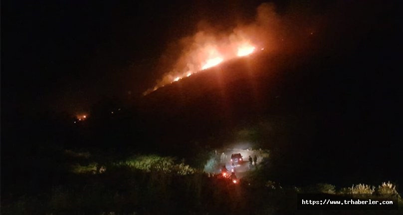 Aydın'da makilik alanda başlayan yangın ormana doğru ilerliyor!