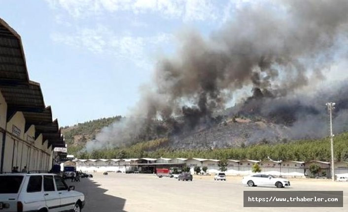 Dalaman ve Milas yeni kontrol edilmişken üçüncü yangın Fethiye'de başladı!