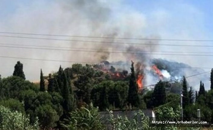 Manisa'nın Soma ilçesinde korkutan orman yangını