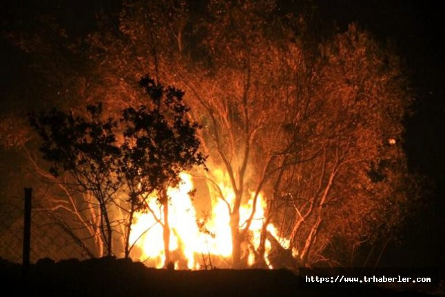 Muğla Dalaman'da orman yangını, iki köy boşaltıldı!