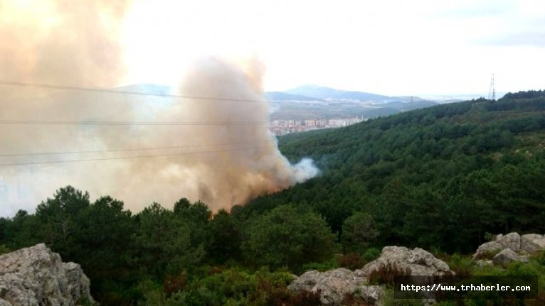 Son durum ! Dalaman'daki yangın 250 hektarlık alana yayıldı