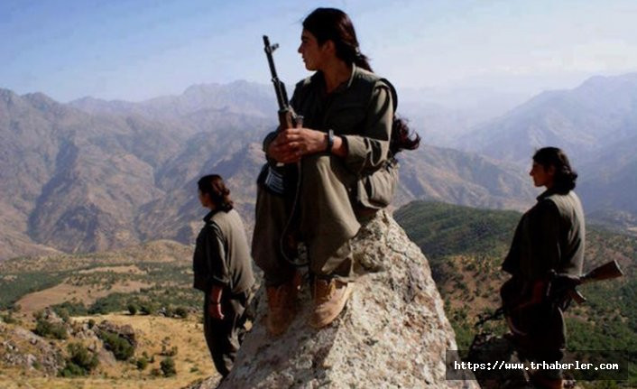 Van'da teslim olan PKK'lıdan şoke eden cinsel ilişki itirafı