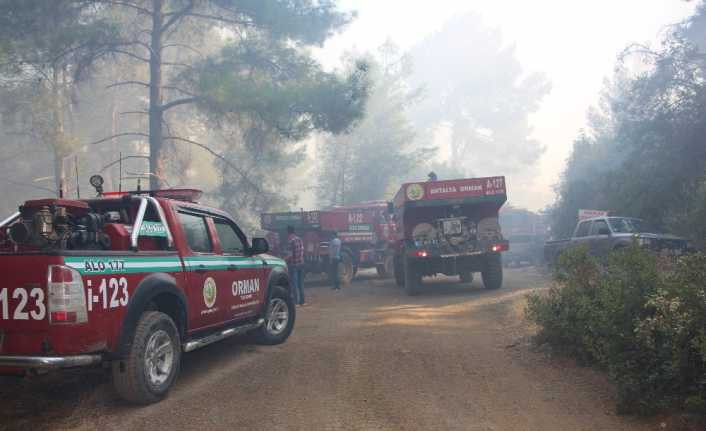 Antalya’da 3 saat süren orman yangını kontrol altına alındı