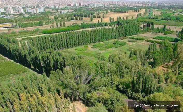 Atatürk Orman Çiftliği arazisi için yargı'dan flash karar
