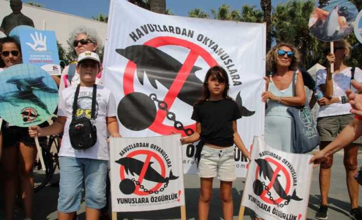 Bodrum’daki yunus gösteri merkezinin ruhsatı iptal edildi