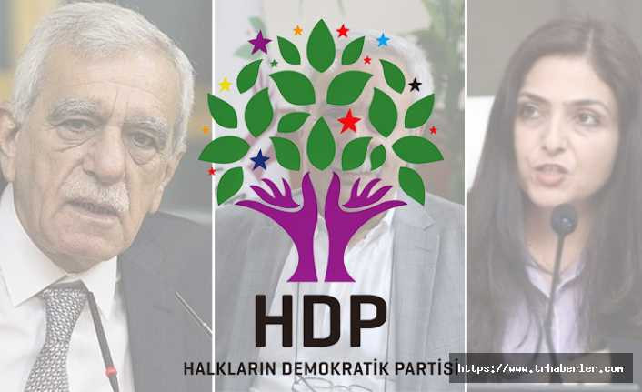 HDP, kayyum atamalarına karşı yol haritasını belirledi