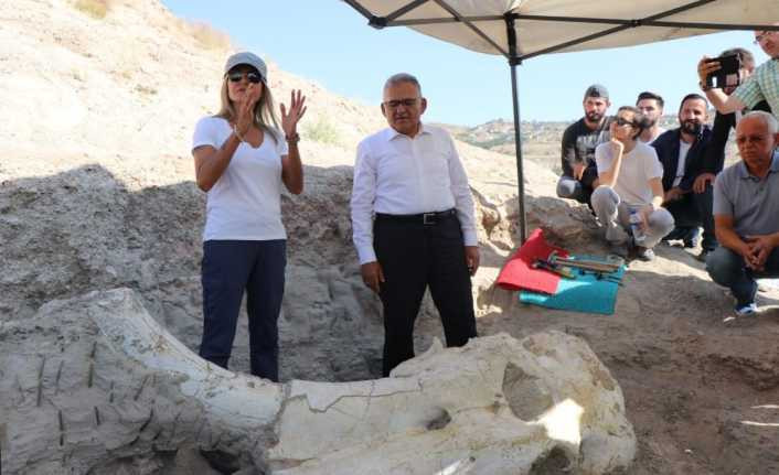 Kayseri’de 7 buçuk milyon yıllık ’Choerolophodon’ fosili bulundu
