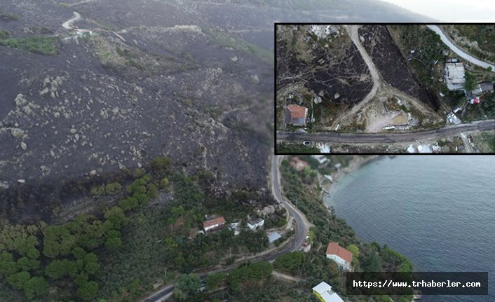 Marmara Adası yangını şüphelileri tutuklandı