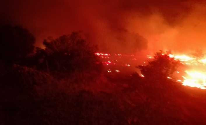 Burhaniye’de arazi yangınında mandalina ağaçları zarar gördü