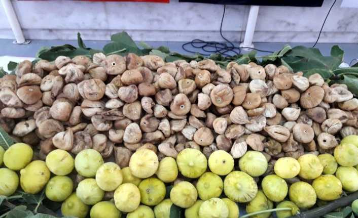 Çin’e 3,7 milyon dolar kuru incir ihracatı yapıldı