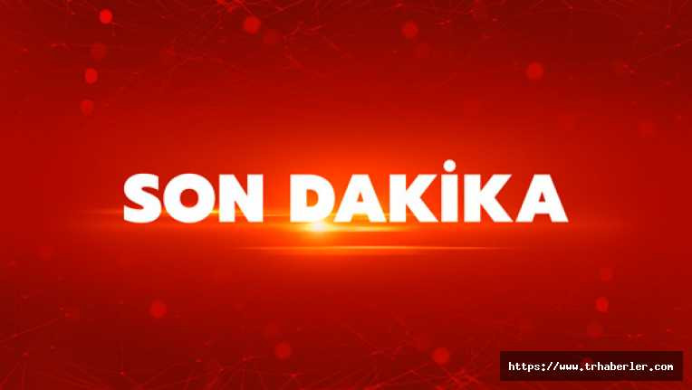DEAŞ'lı terörist İstanbul'da yakalandı