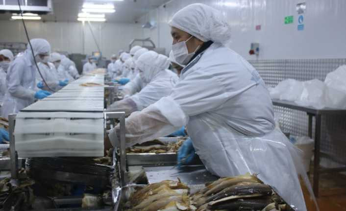 Denizli’den dünyanın 80 ülkesine yıllık 6 bin ton tütsülenmiş balık gönderiyorlar