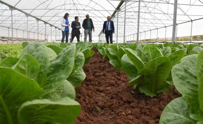 Aksaray’da sera projeleri üreticinin yüzünü güldürüyor