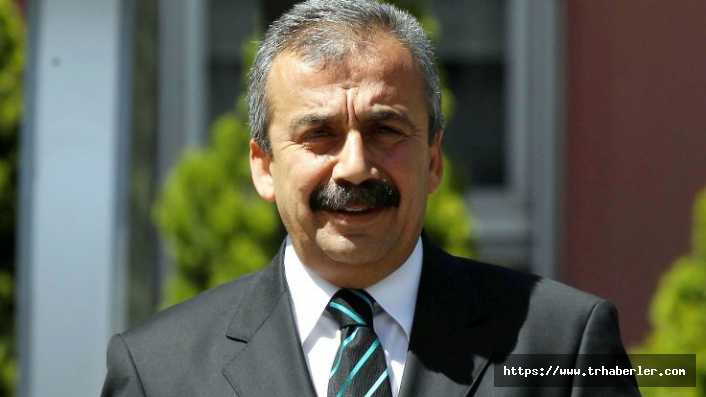 Anayasa Mahkemesi'nden HDP'li Önder için 'ihlal' kararı