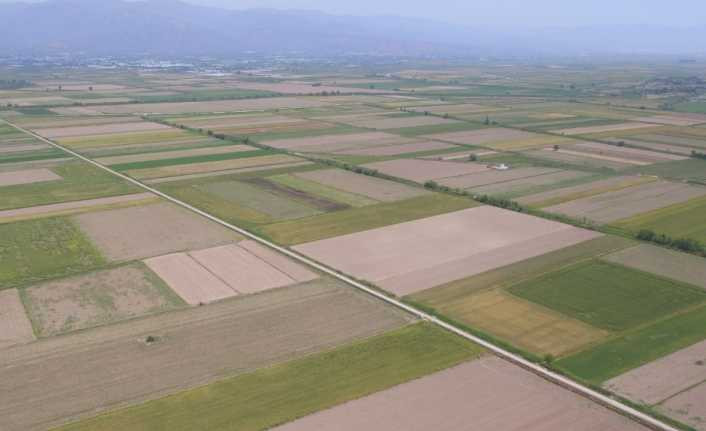 Aydın’da 987 bin 500 dekar tarım arazisi sulandı