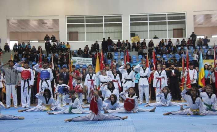 Bingöl’de Cumhuriyet Bayramı coşkuyla kutlandı