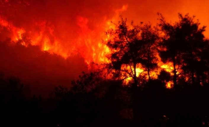 Bursa’daki orman yangınının bilançosu havadan görüntülendi