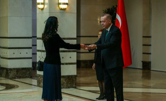Cumhurbaşkanı Erdoğan, Estonya Büyükelçisini kabul etti